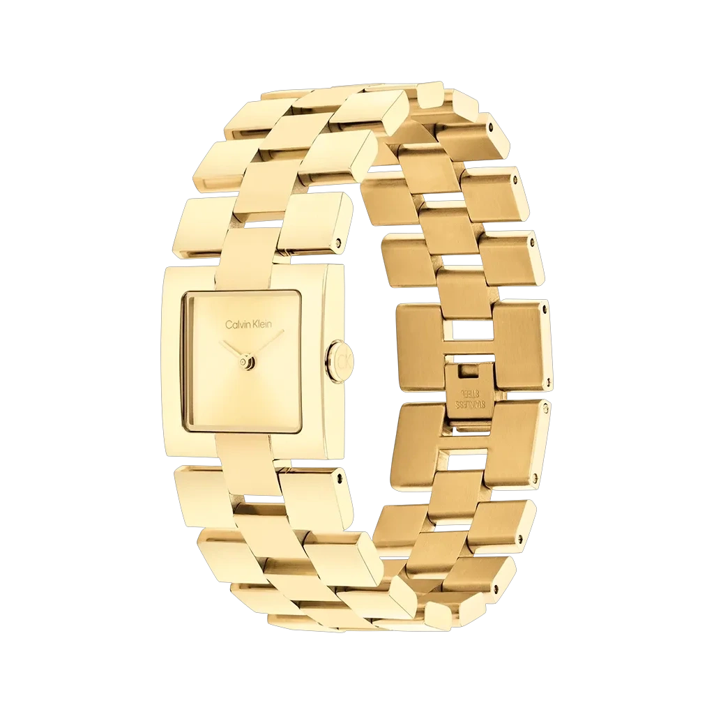 Calvin Klein Meridian - 25100089 - urmakerlarsen.no