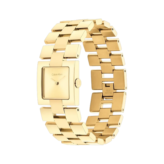 Calvin Klein Meridian - 25100089 - urmakerlarsen.no