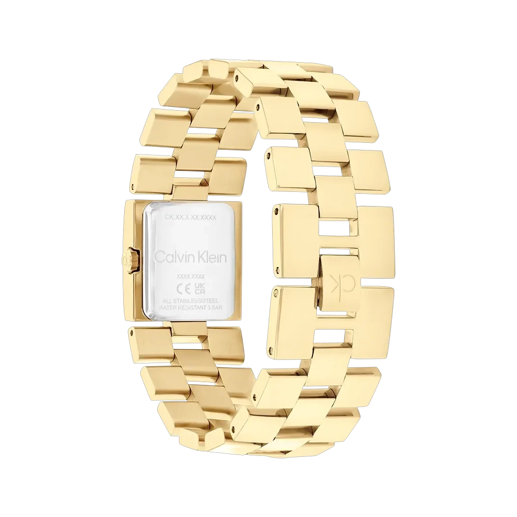 Calvin Klein Meridian - 25100089 - urmakerlarsen.no