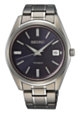 Seiko Mens